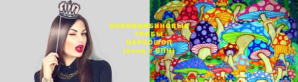 дурь Каменск-Шахтинский