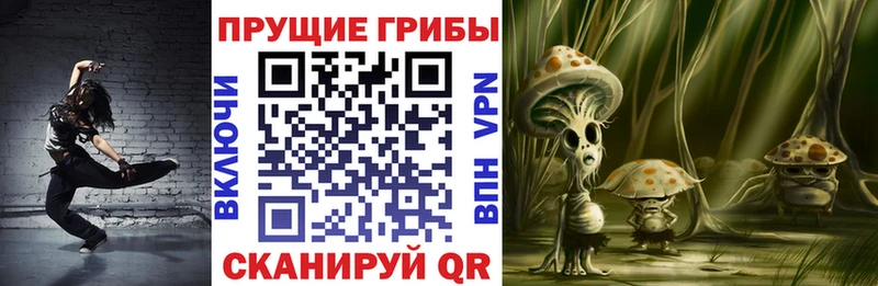 Галлюциногенные грибы Cubensis  Купить закладки  Звенигород 